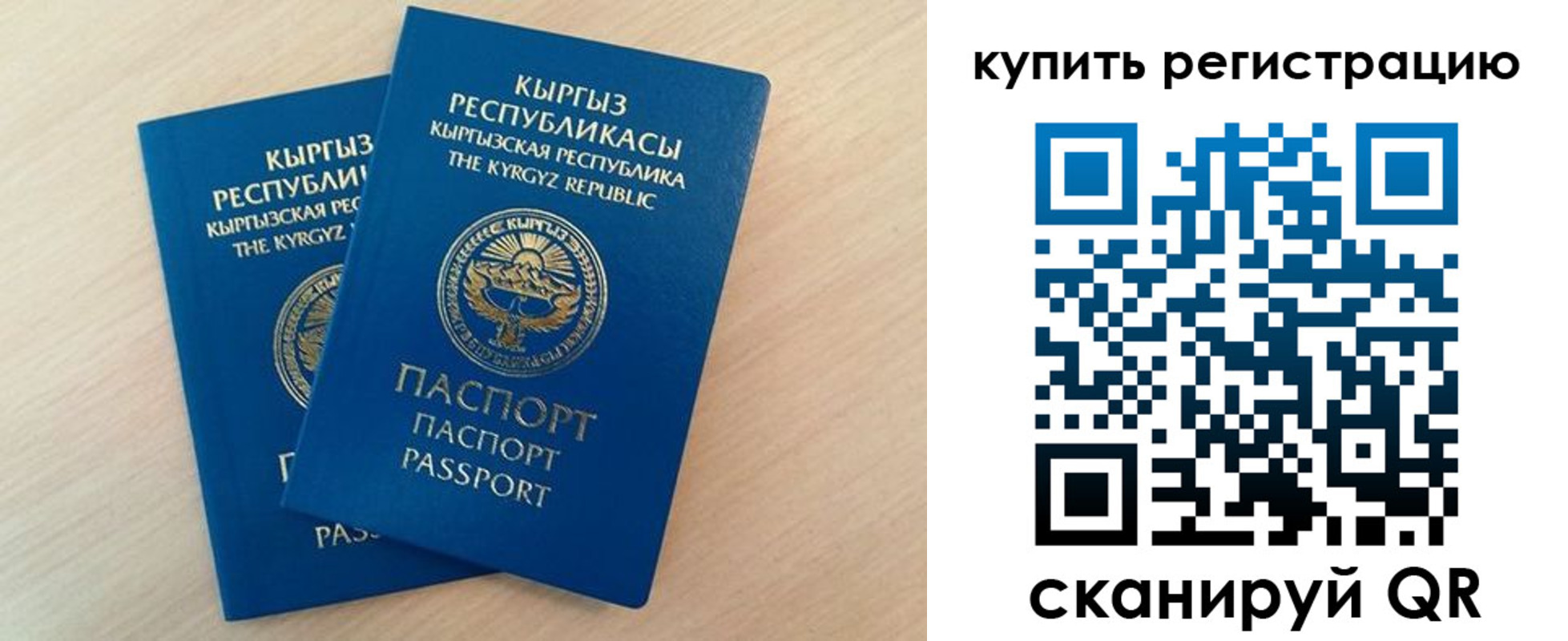 временная регистрация поиск в Амурской области